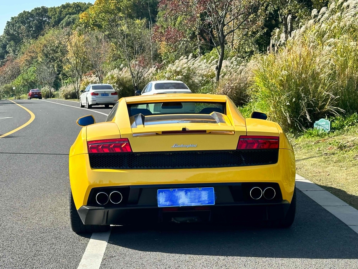 蘭博基尼 Gallardo  2011款 LP 550-2 Tricolore圖片