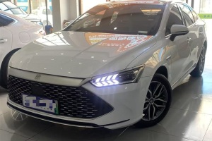 秦PLUS 比亞迪 冠軍版 DM-i 120KM超越型