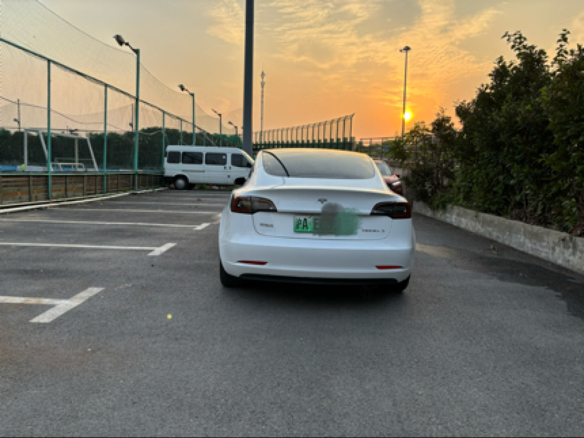 特斯拉 Model 3  2019款 標(biāo)準(zhǔn)續(xù)航后驅(qū)升級(jí)版圖片