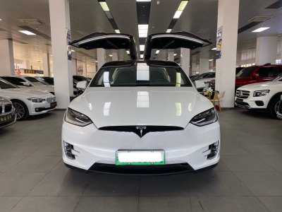 2017年3月 特斯拉 Model X Model X 75D圖片