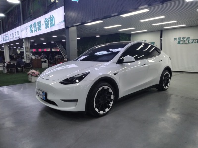 2021年5月 特斯拉 Model Y 長續(xù)航全輪驅(qū)動(dòng)版 3D7圖片