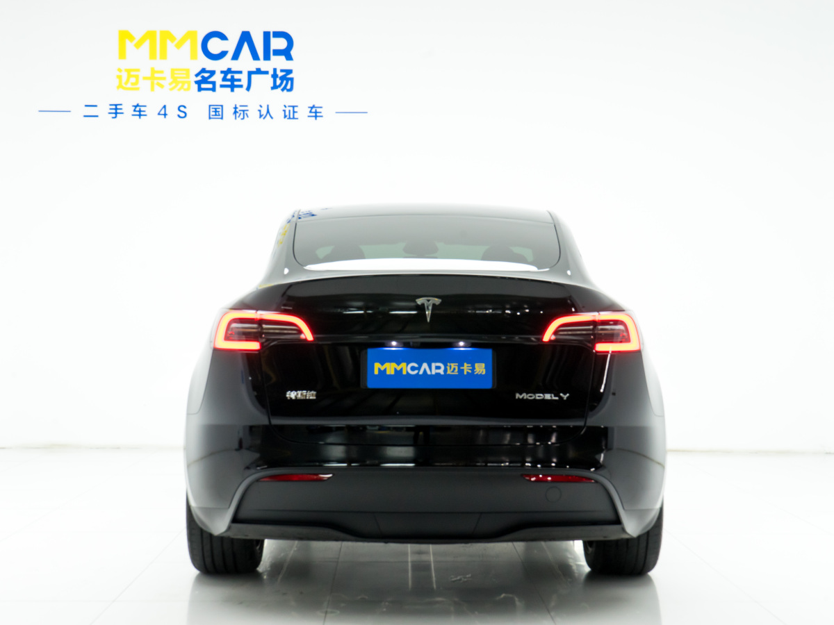 特斯拉 Model Y  2020款 改款 長續(xù)航后輪驅(qū)動版圖片