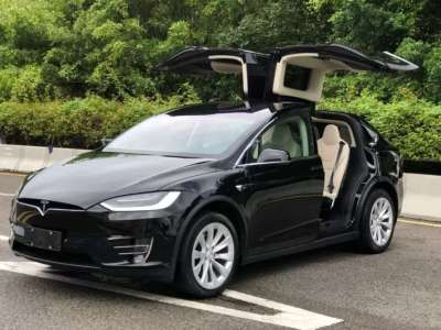 2019年5月 特斯拉 Model X Model X 100D 长续航版图片