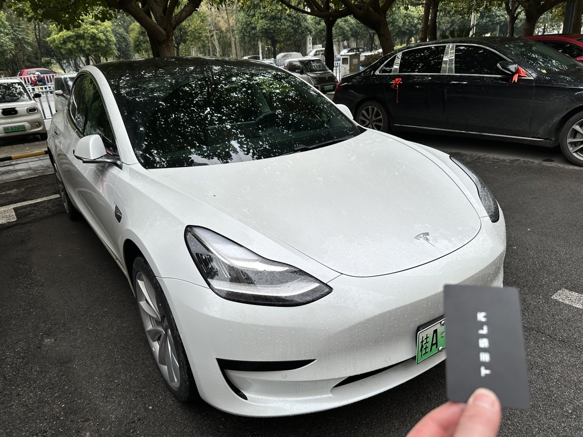 特斯拉 Model 3  2019款 標(biāo)準(zhǔn)續(xù)航后驅(qū)升級(jí)版圖片