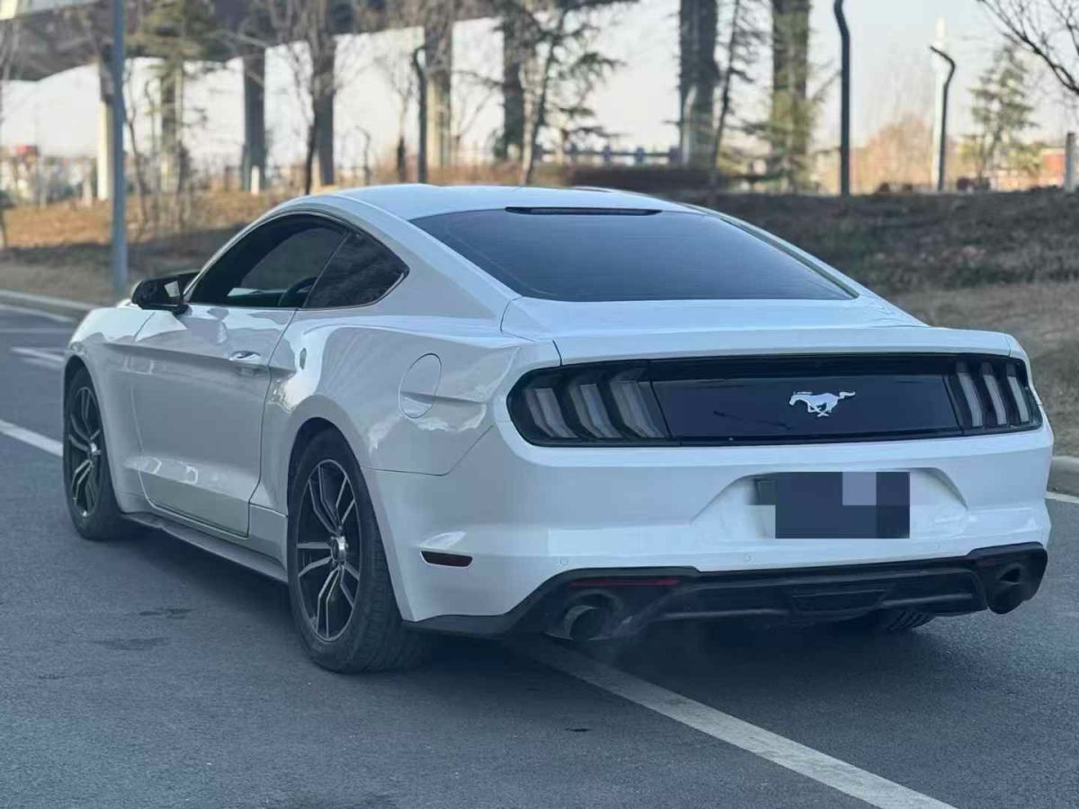 福特 Mustang  2018款 2.3L EcoBoost圖片