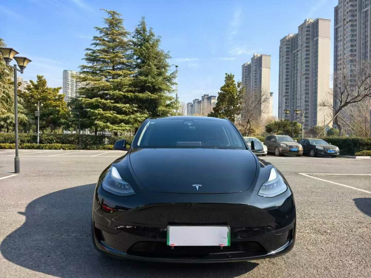 特斯拉 Model Y  2022款 后驅(qū)版圖片