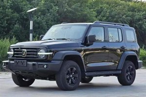 坦克300 坦克 越野版 2.0T 挑戰(zhàn)者