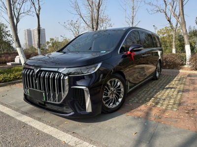 2023年10月 嵐圖 夢想家 PHEV 超長續(xù)航旗艦版圖片