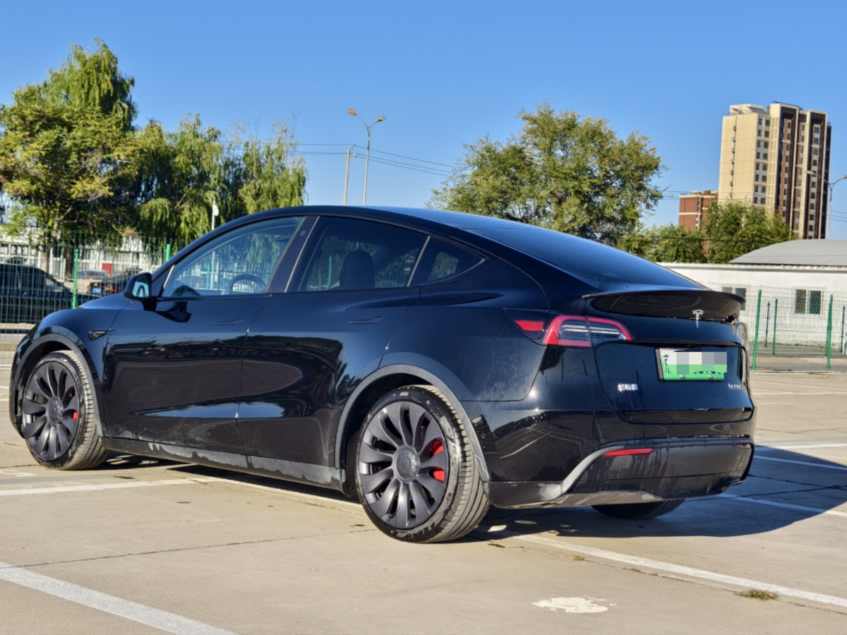 特斯拉 Model Y  2021款 改款 Performance高性能全輪驅(qū)動版圖片