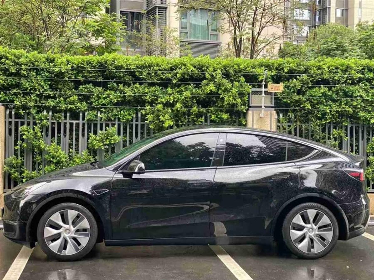 特斯拉 Model Y  2021款 標(biāo)準(zhǔn)續(xù)航后驅(qū)版圖片