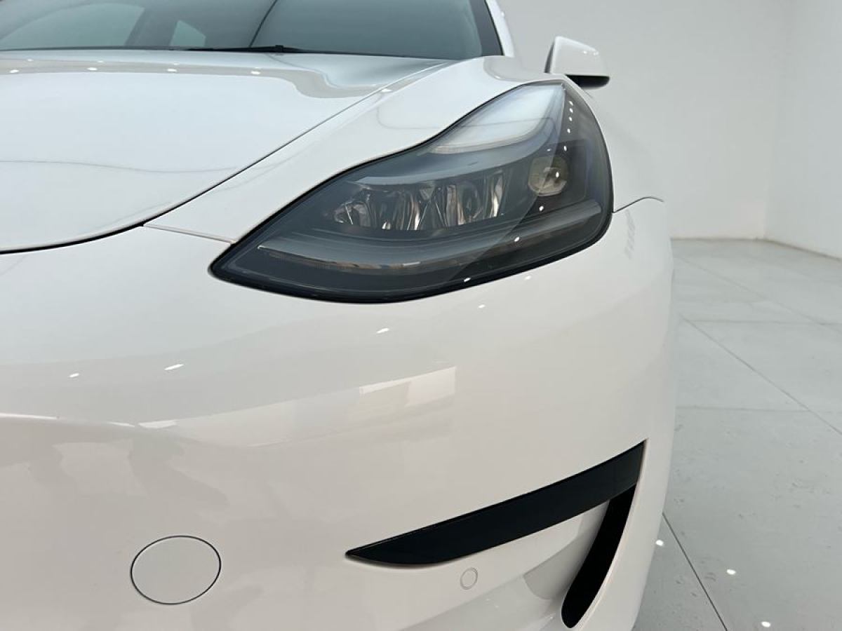 特斯拉 Model 3  2021款 改款 標(biāo)準(zhǔn)續(xù)航后驅(qū)升級版圖片