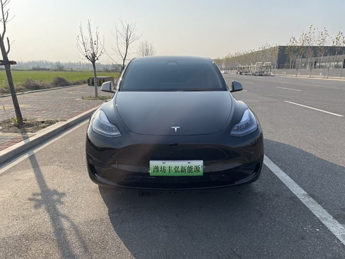 特斯拉 Model 3  2020款 改款 長續(xù)航后輪驅(qū)動版圖片