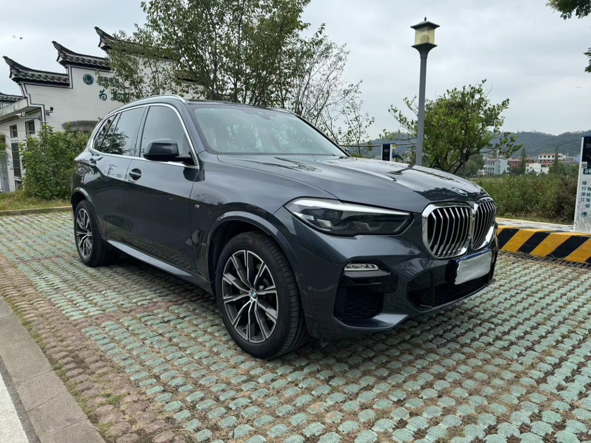 寶馬 寶馬X5  2020款 xDrive30i X設(shè)計(jì)套裝圖片