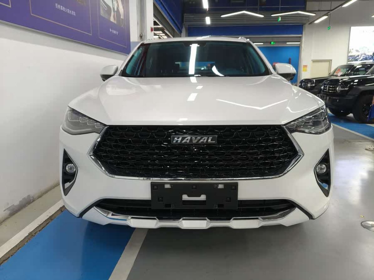 哈弗 哈弗F7x  2019款  1.5T 兩驅(qū)極智潮玩版圖片