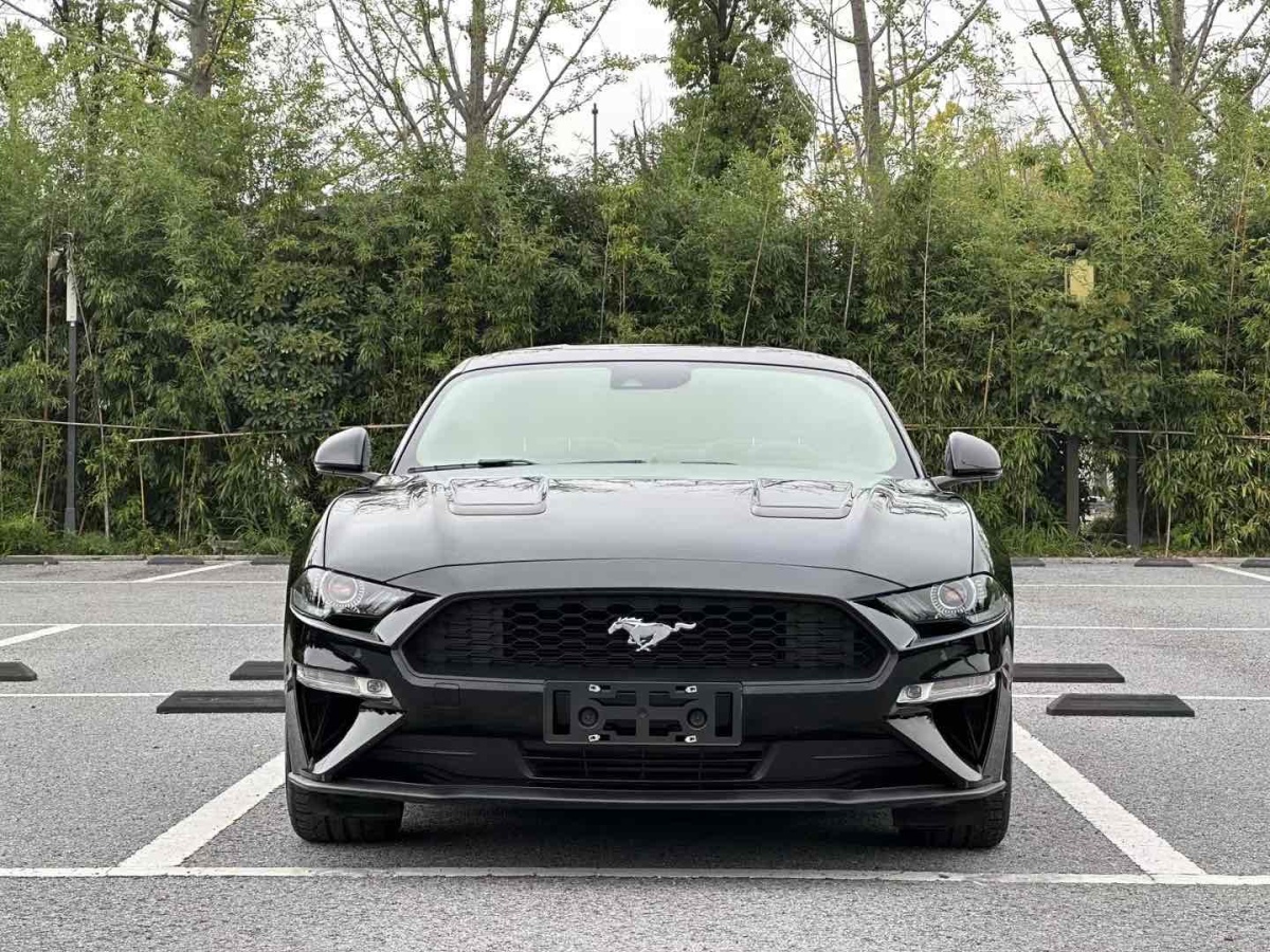 2021年3月福特 Mustang  2019款 2.3L EcoBoost