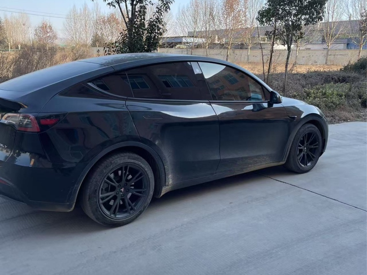 特斯拉 Model Y  2021款 標(biāo)準(zhǔn)續(xù)航后驅(qū)版圖片