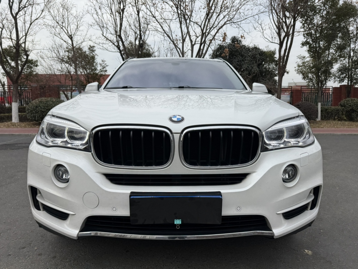 寶馬 寶馬X5  2014款 xDrive35i 典雅型圖片