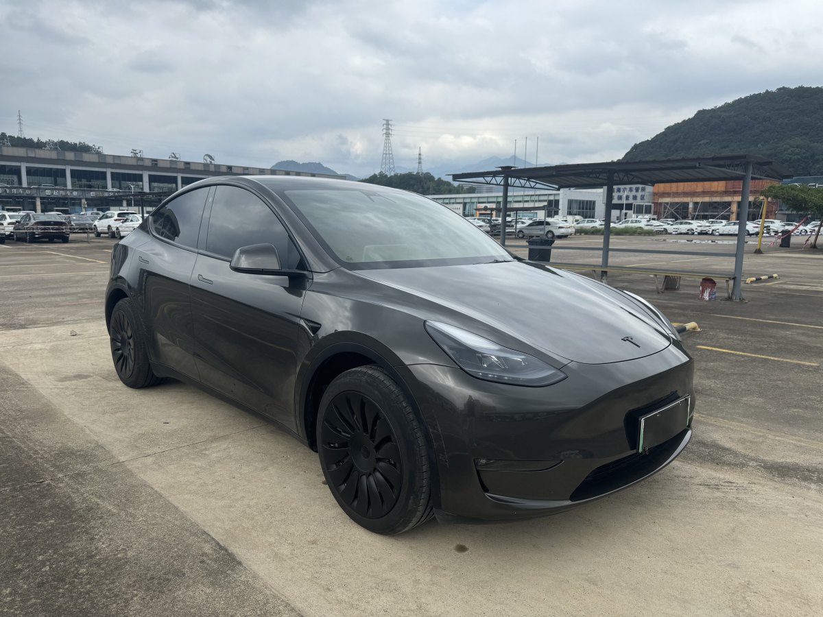 特斯拉 Model Y  2021款 改款 Performance高性能全輪驅(qū)動版圖片