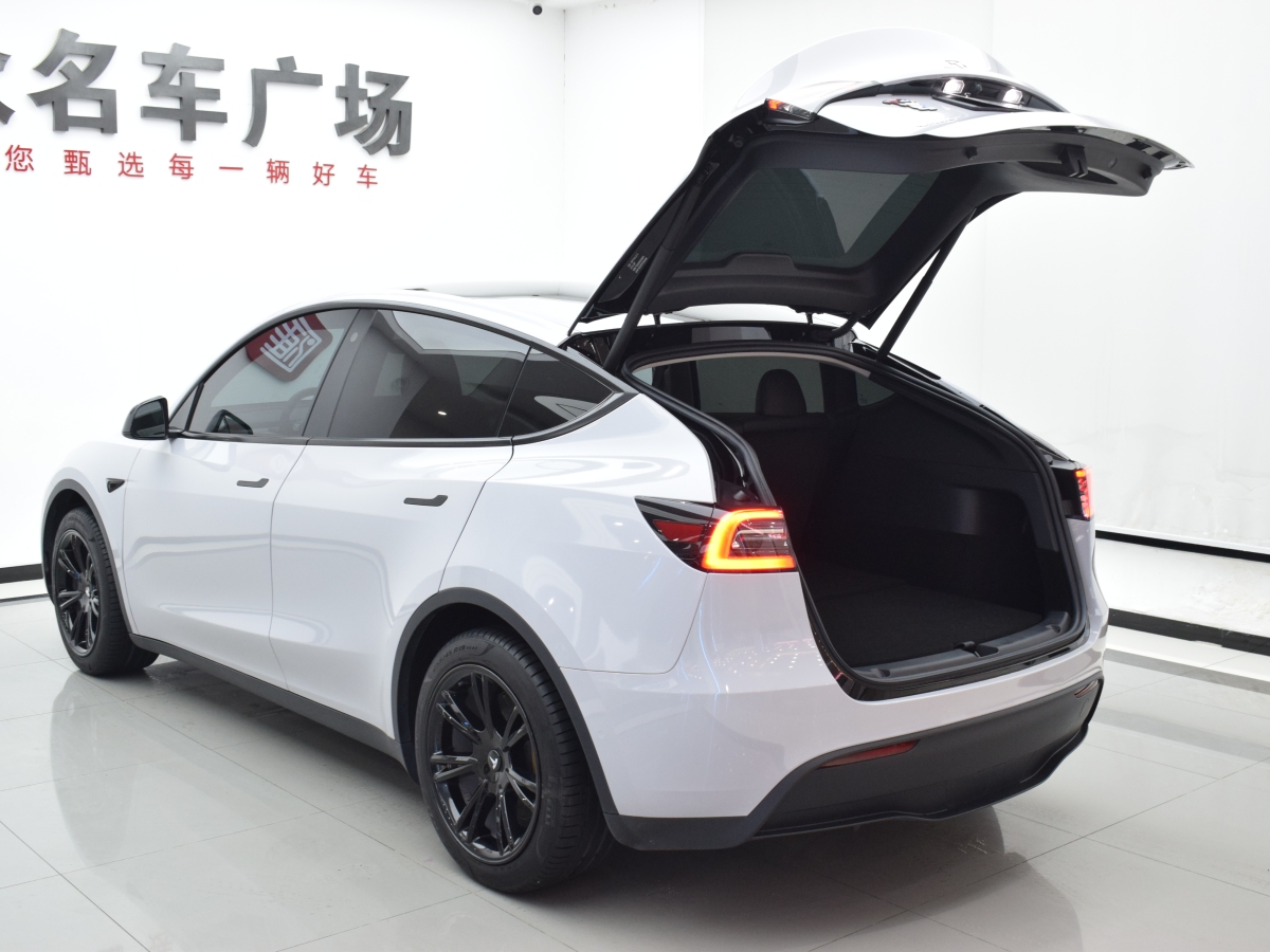 特斯拉 Model Y  2020款 改款 長續(xù)航后輪驅(qū)動(dòng)版圖片