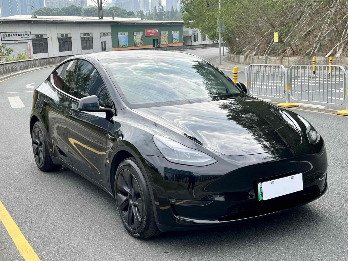 特斯拉 Model 3  2023款 長續(xù)航煥新版 雙電機全輪驅(qū)動圖片