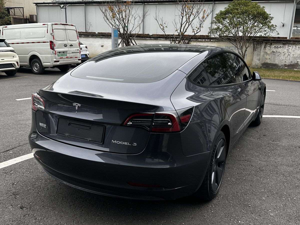 特斯拉 Model 3  2021款 標(biāo)準(zhǔn)續(xù)航后驅(qū)升級版 3D6圖片