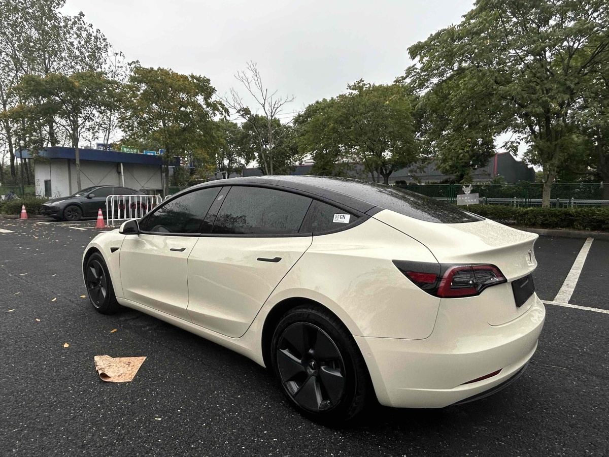 特斯拉 Model 3  2023款 煥新版 后輪驅(qū)動圖片