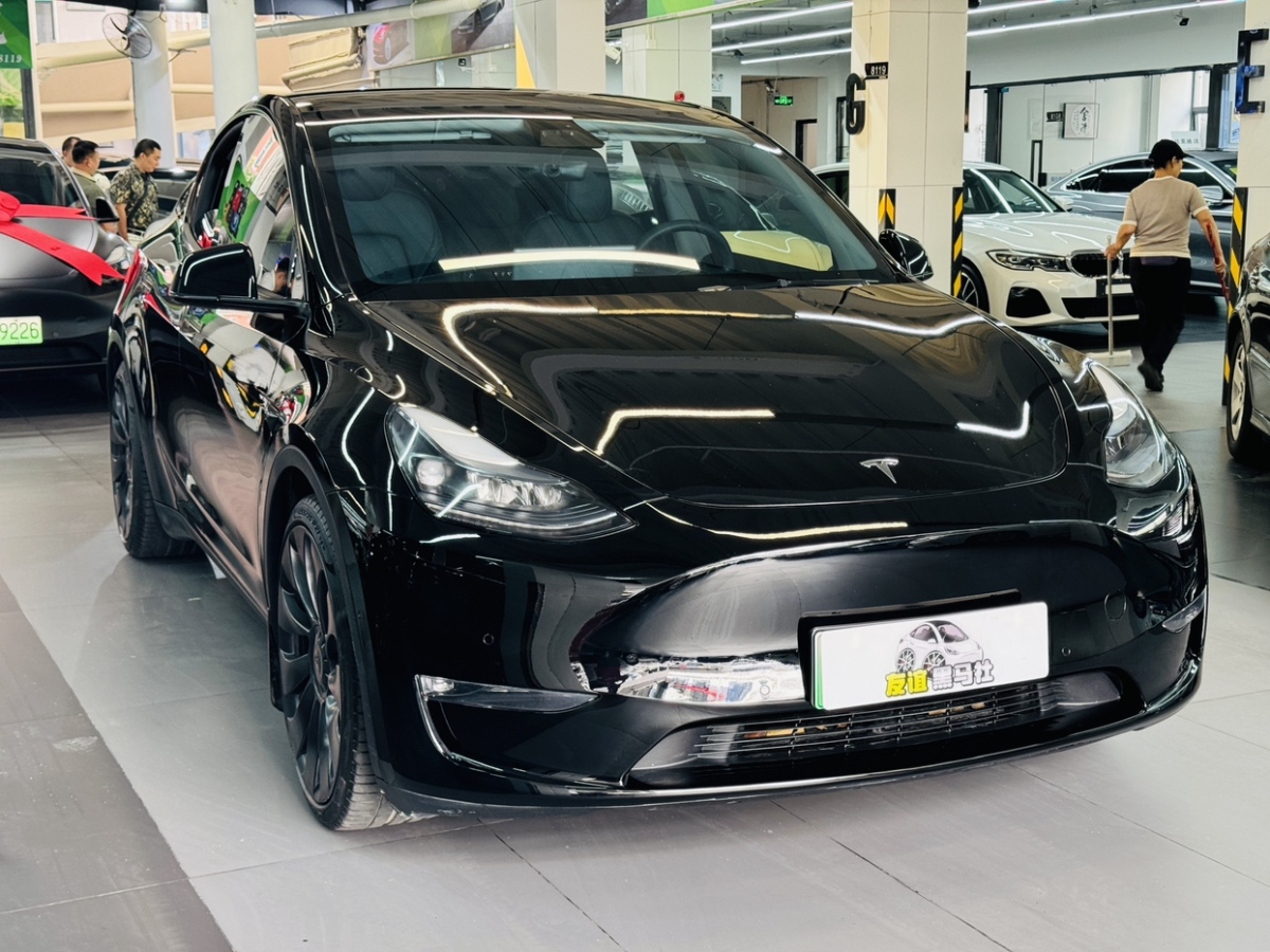 特斯拉 Model Y  2022款 Performance高性能全輪驅(qū)動版圖片