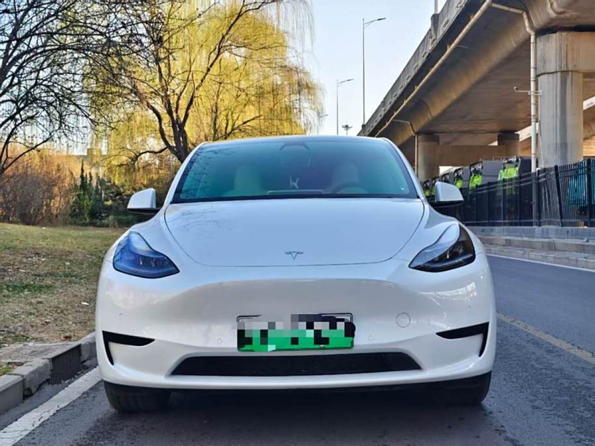 特斯拉 Model 3  2022款 后輪驅(qū)動版圖片