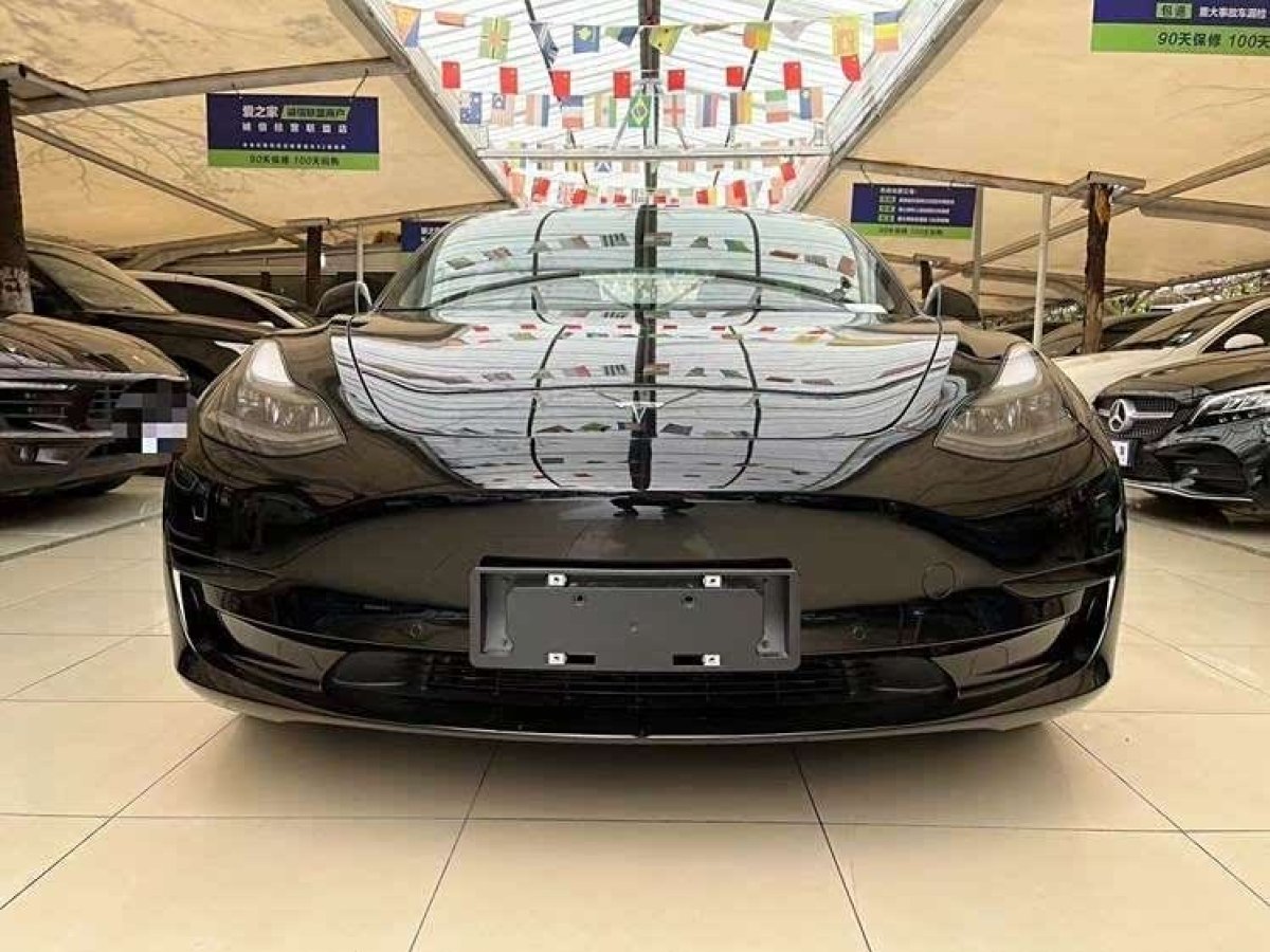 特斯拉 Model 3  2022款 后輪驅(qū)動(dòng)版圖片