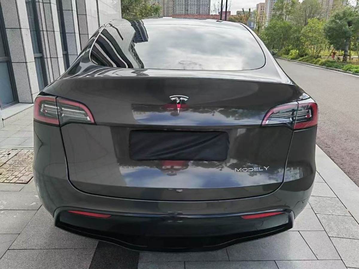 特斯拉 Model Y  2021款 改款 長續(xù)航全輪驅(qū)動版圖片