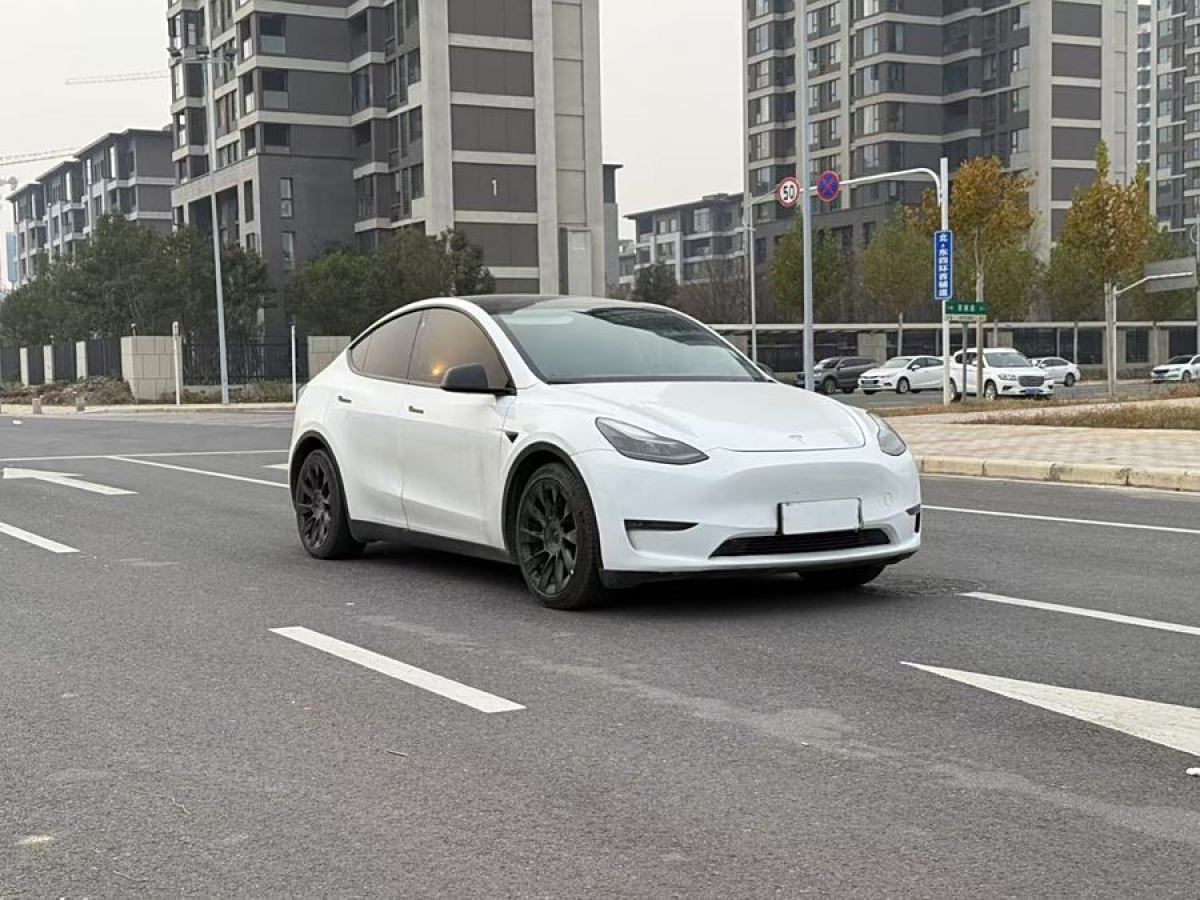 特斯拉 Model Y  2021款 改款二 長(zhǎng)續(xù)航全輪驅(qū)動(dòng)版圖片