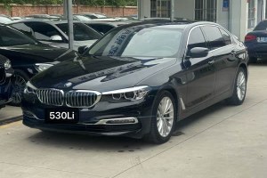 寶馬5系 寶馬 改款 530Li 領(lǐng)先型 豪華套裝
