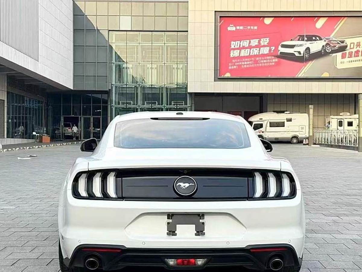 福特 Mustang  2019款 2.3L EcoBoost圖片