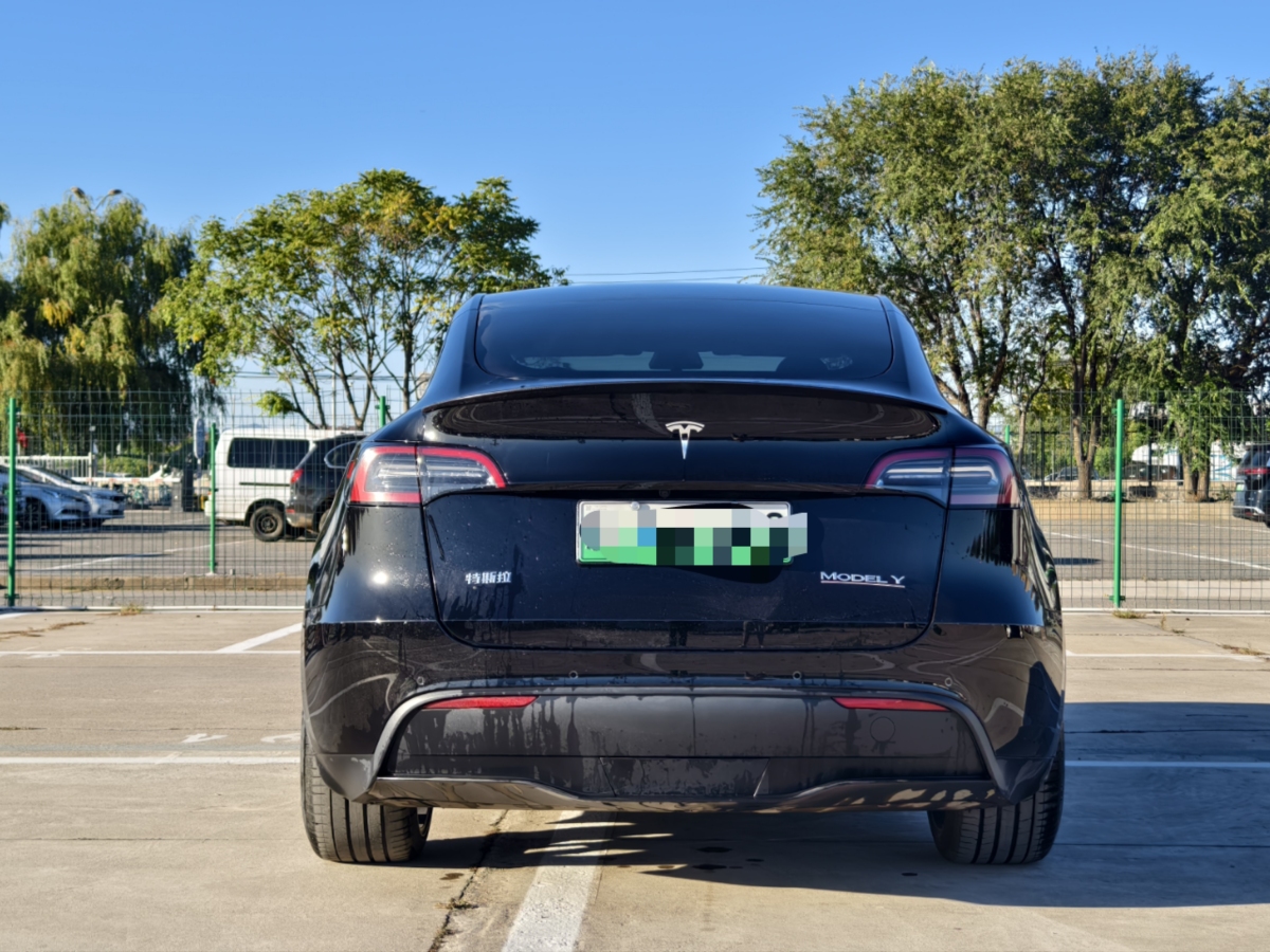 特斯拉 Model Y  2021款 改款 Performance高性能全輪驅(qū)動版圖片