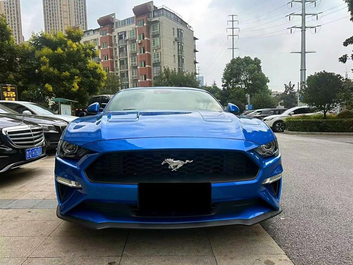 福特 Mustang  2019款 2.3L EcoBoost圖片