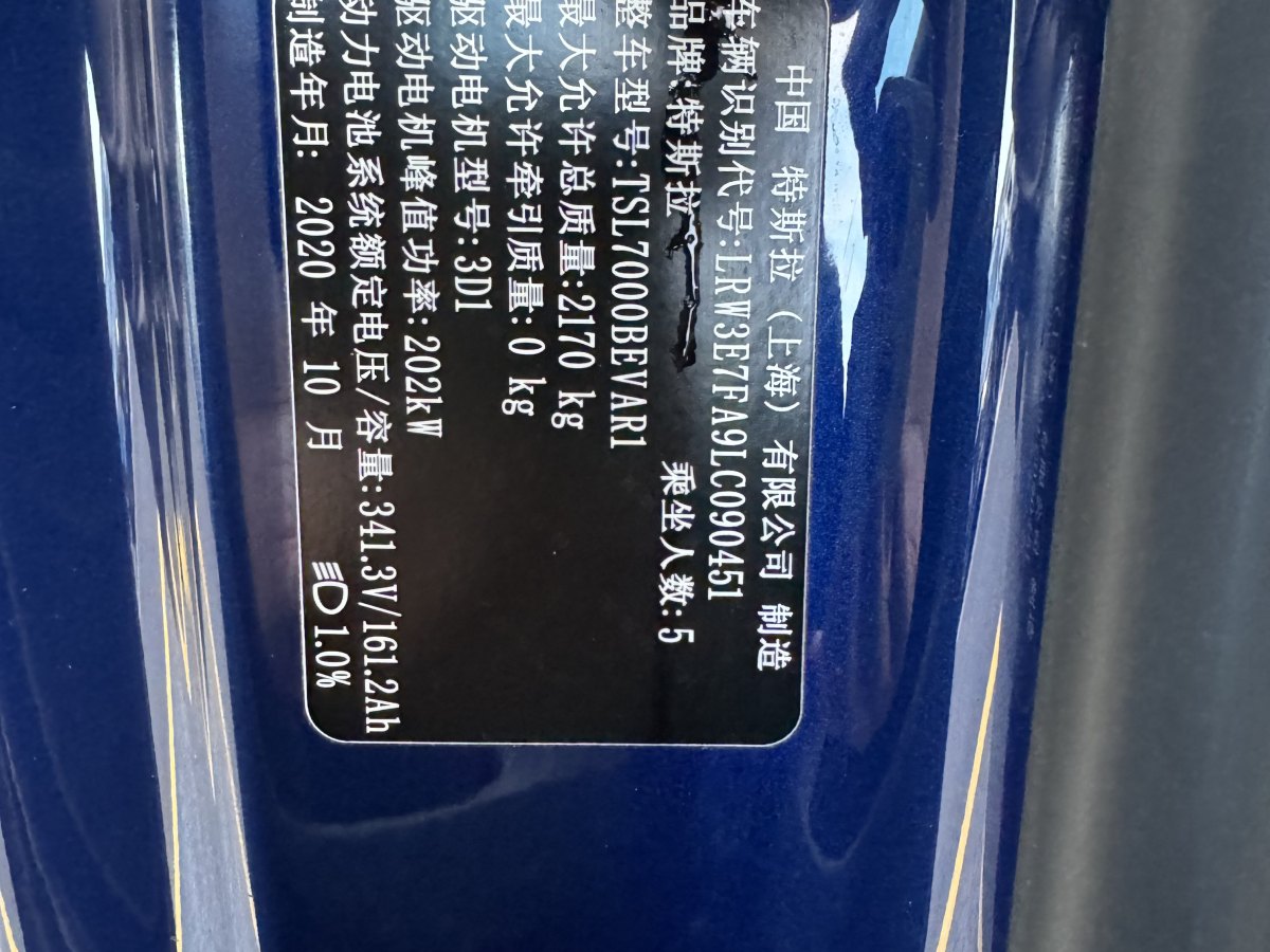 2020年11月特斯拉 Model Y  2020款 改款 標準續(xù)航后驅(qū)升級版