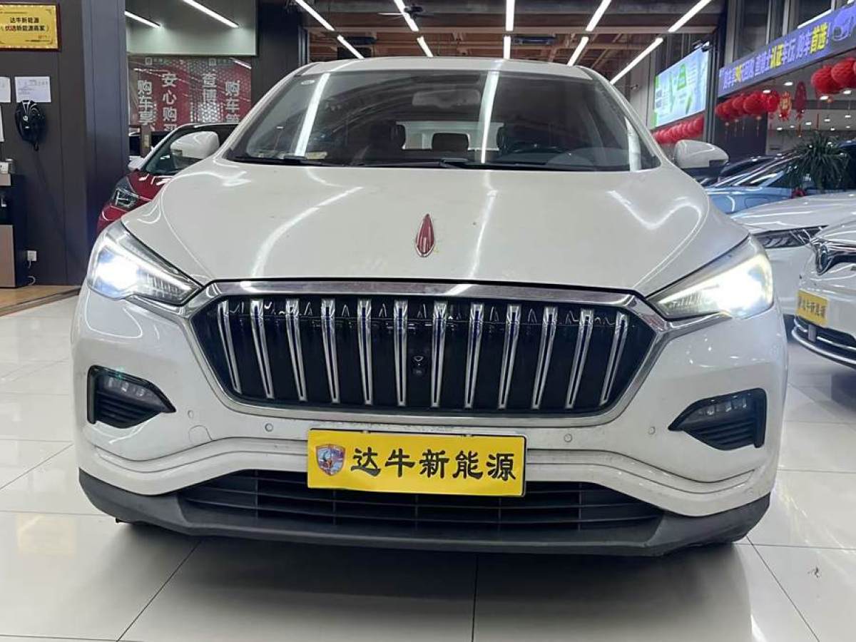 紅旗 E-HS3  2019款 智聯(lián)旗悅兩驅(qū)版圖片