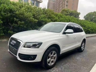 2010年1月 奥迪 奥迪Q5(进口) Q5 2.0TSI 首发限量版运动版图片