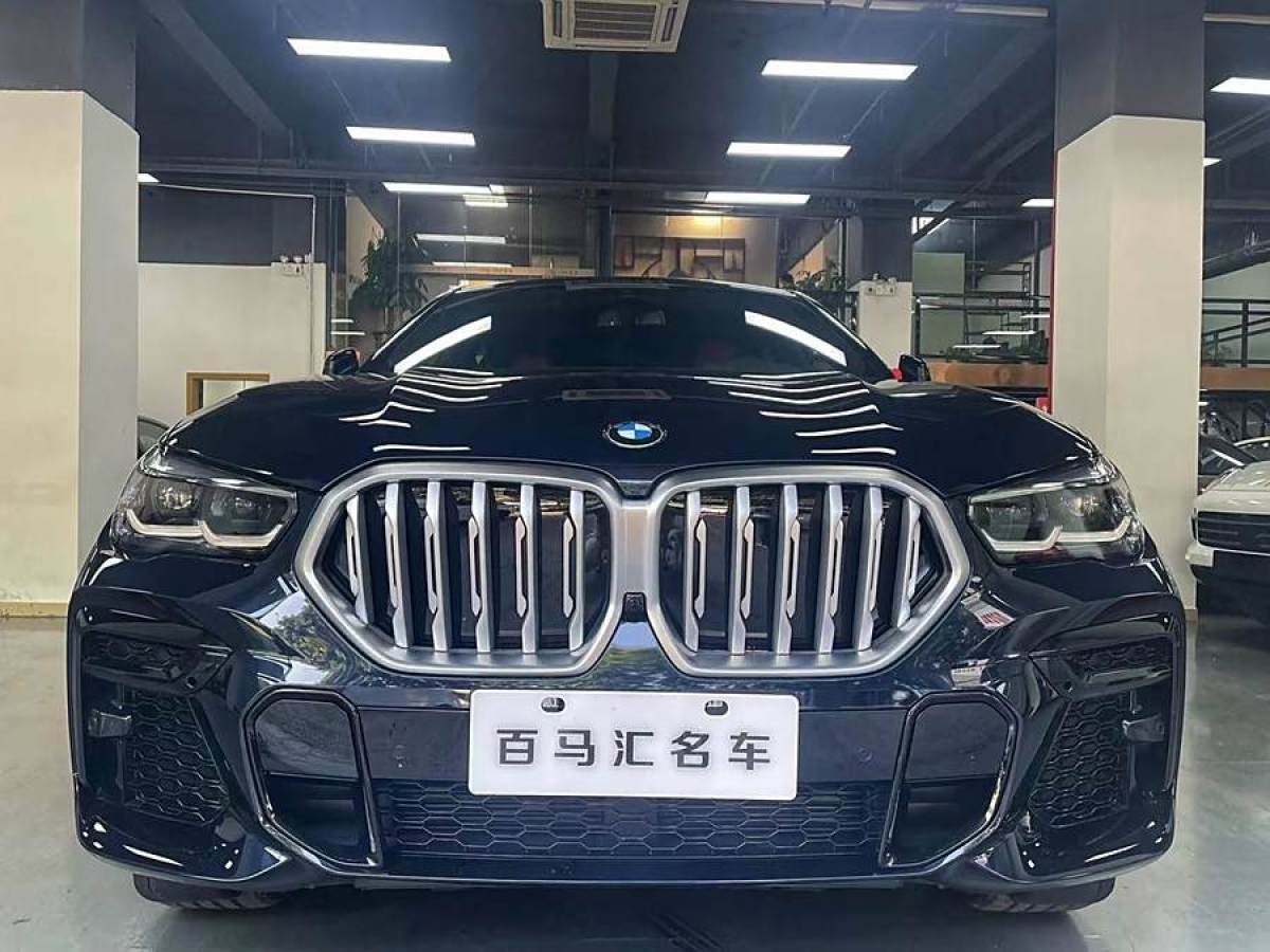 寶馬 寶馬X6  2023款 xDrive30i M運動套裝圖片