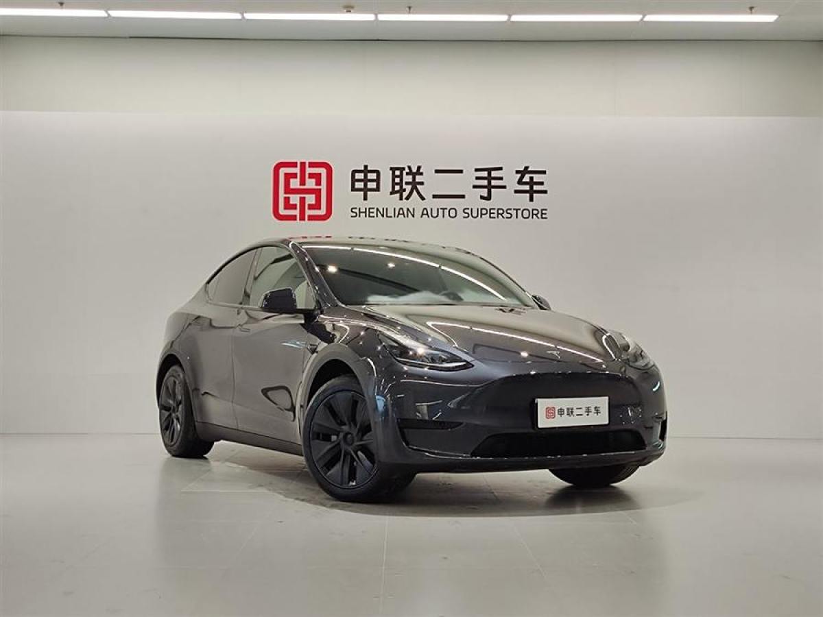 特斯拉 Model 3  2020款 改款 長續(xù)航后輪驅動版圖片