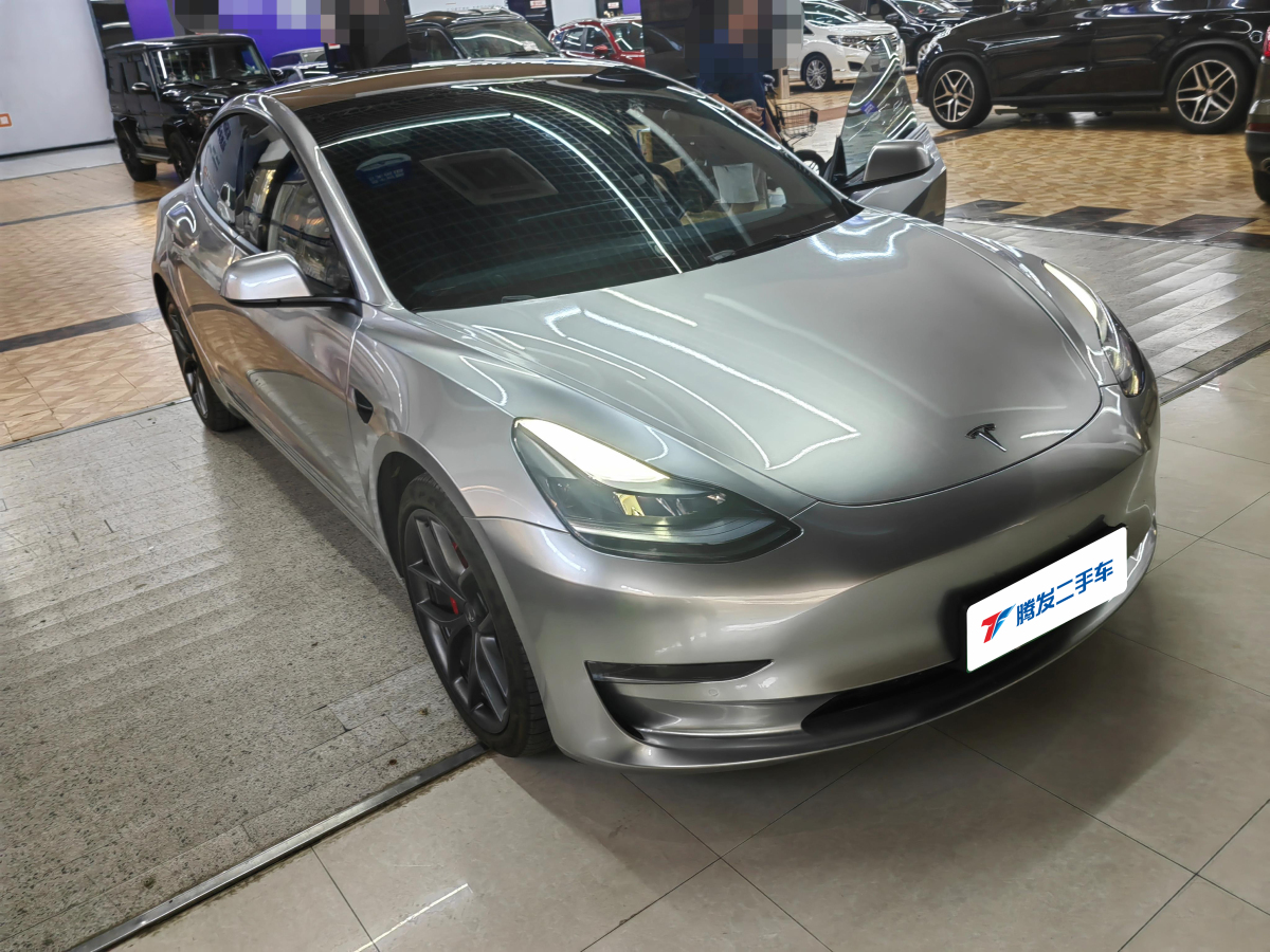 2023年1月特斯拉 Model 3  2019款 Performance高性能全輪驅(qū)動(dòng)版