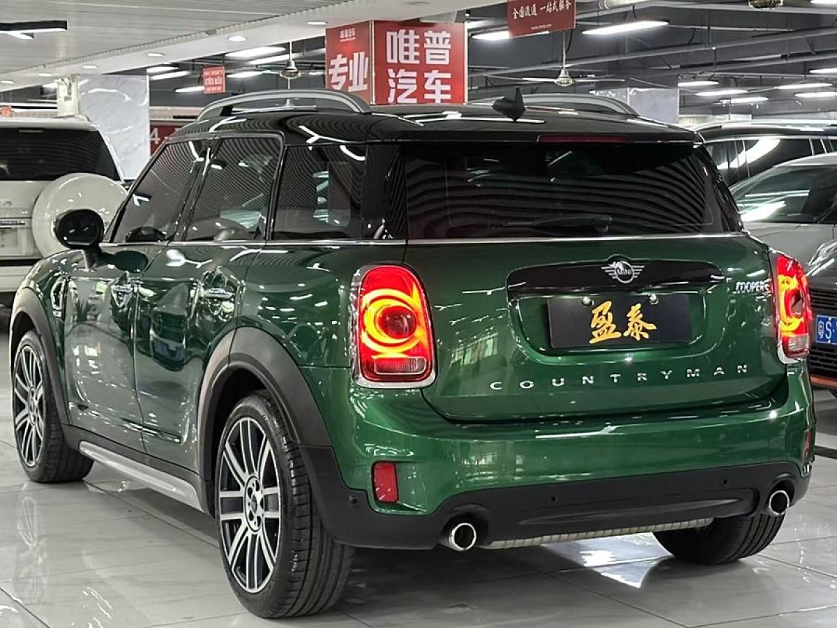 MINI COUNTRYMAN  2019款 2.0T COOPER S ALL4 藝術(shù)家圖片