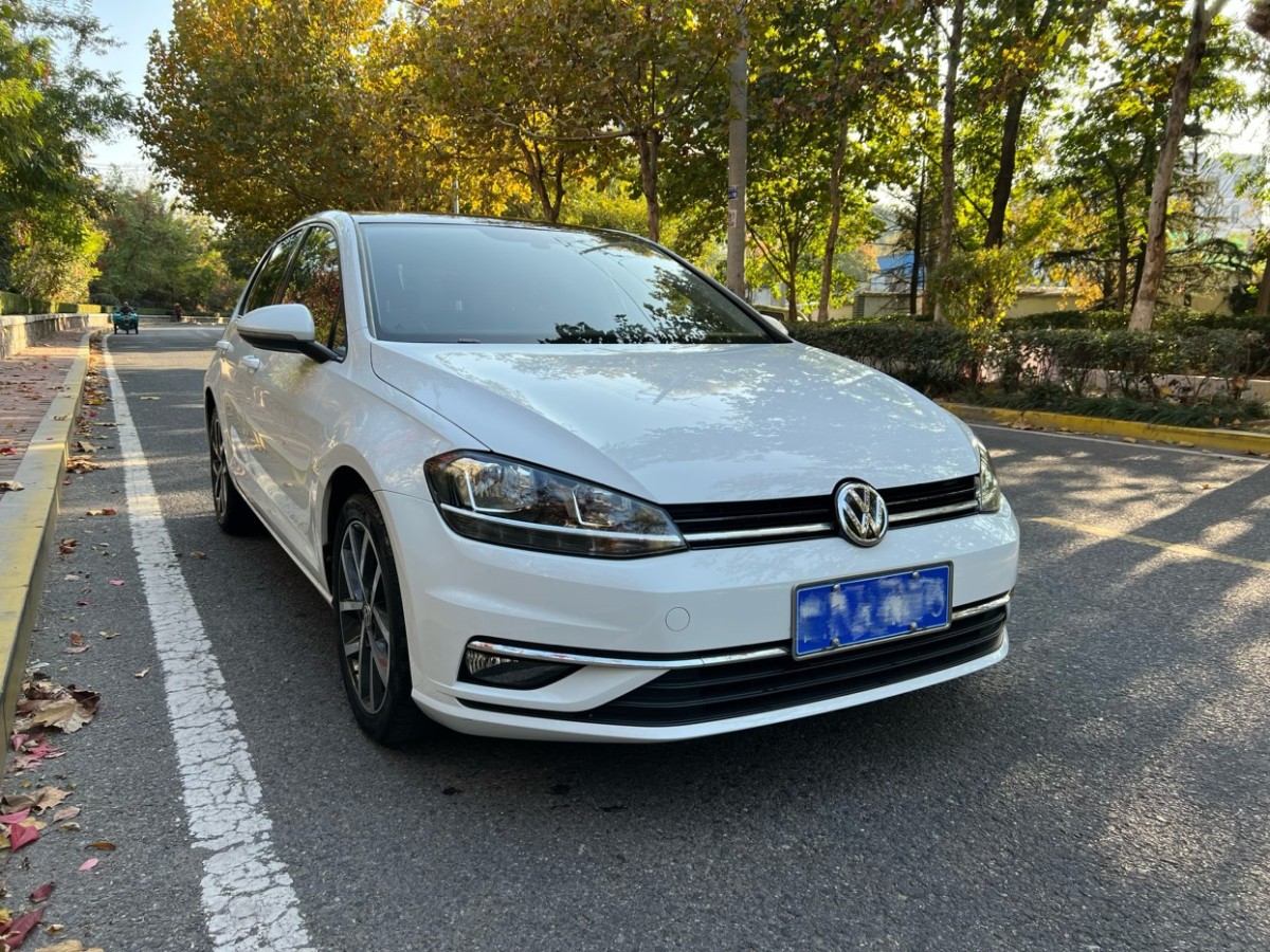 大眾 高爾夫  2020款 摯愛版 280TSI DSG舒適型圖片