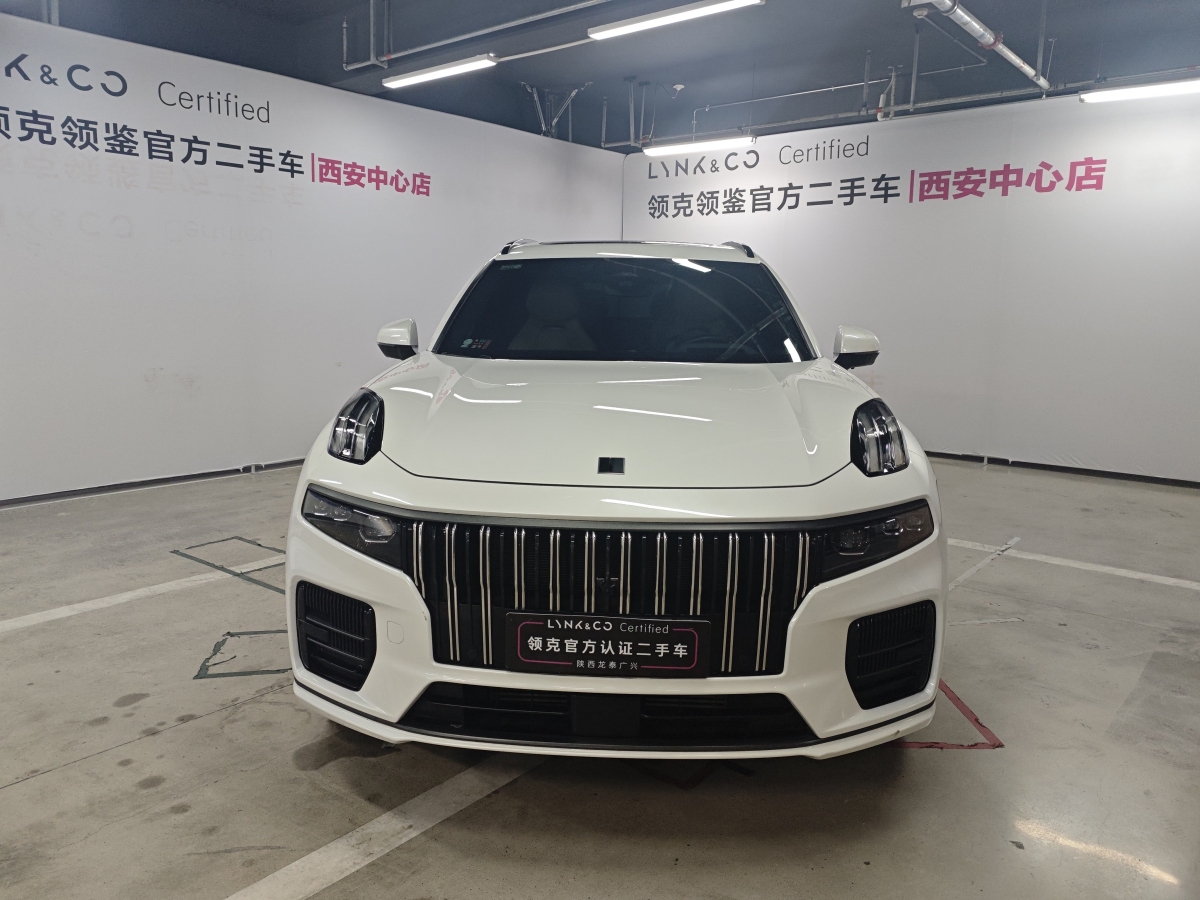 領(lǐng)克 領(lǐng)克09新能源  2021款 2.0T PHEV Halo 六座圖片