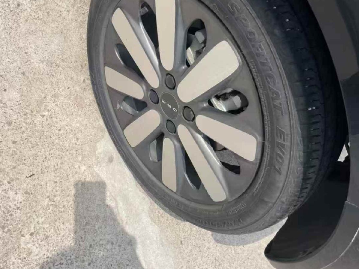 歐拉 歐拉黑貓  2021款 2021款 301km 基礎(chǔ)型圖片