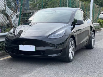 2021年05月 特斯拉 Model Y 長(zhǎng)續(xù)航全輪驅(qū)動(dòng)版 3D7圖片