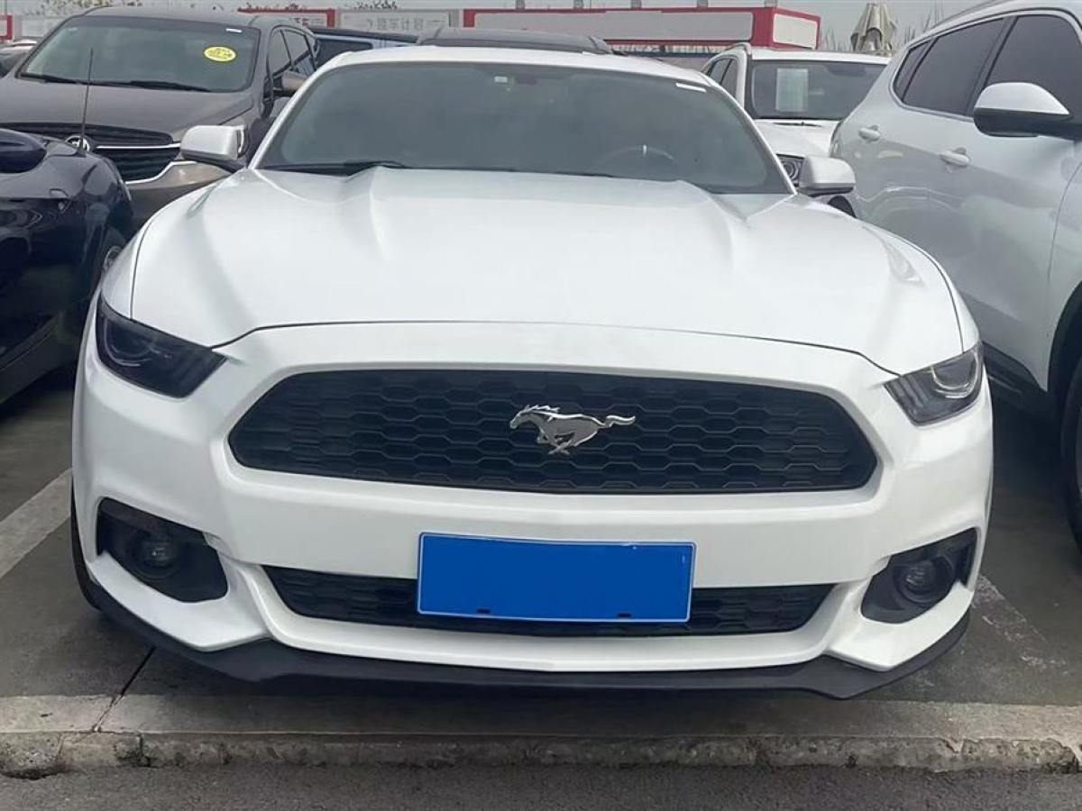 福特 Mustang  2015款 2.3T 性能版圖片