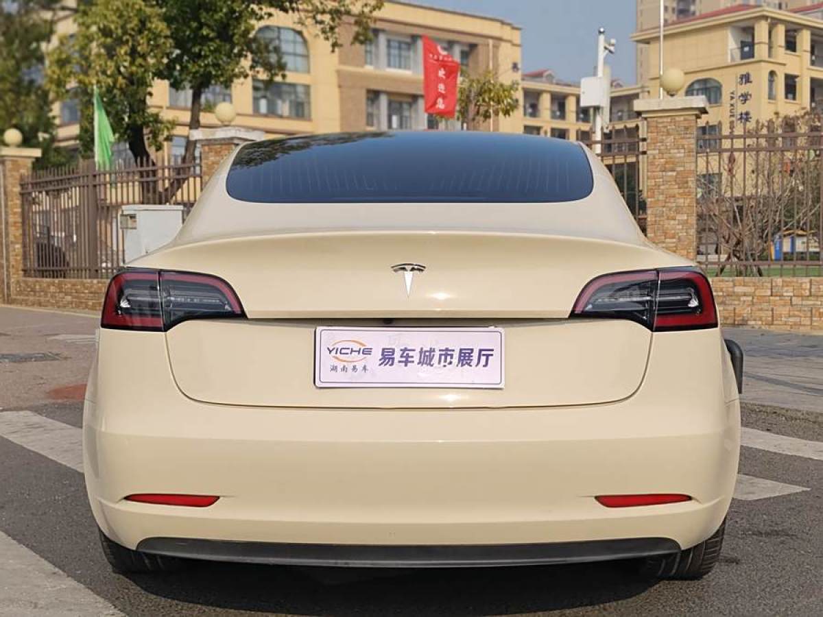 特斯拉 Model 3  2020款 改款 標準續(xù)航后驅(qū)升級版圖片