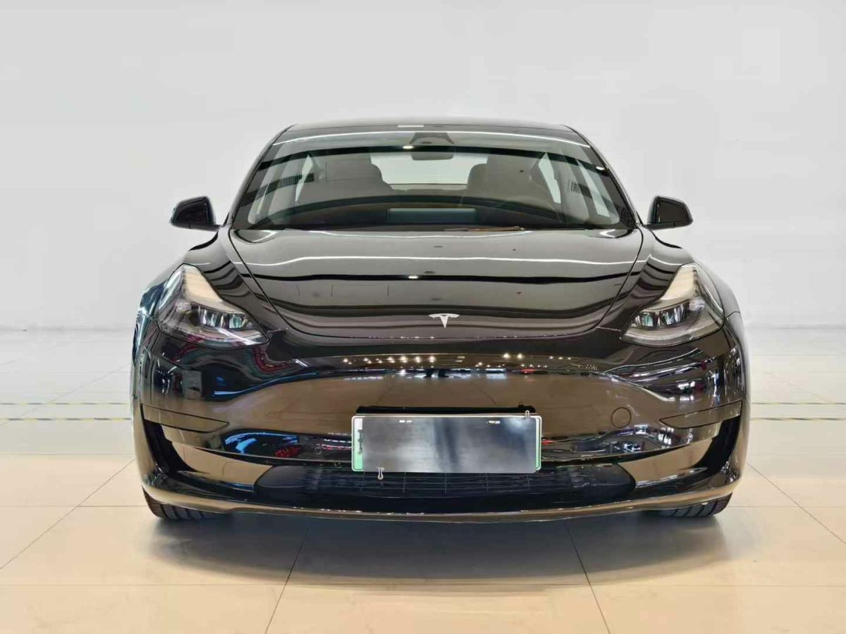 2023年1月特斯拉 Model S  2023款 三電機(jī)全輪驅(qū)動 Plaid版