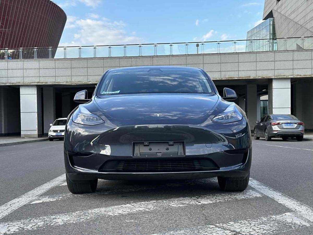 特斯拉 Model 3  2020款 改款 長續(xù)航后輪驅(qū)動版圖片